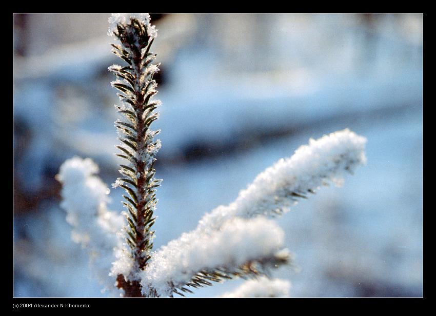  - Зима   - Александр Хоменко, Фотограф - Alexander Khomenko 