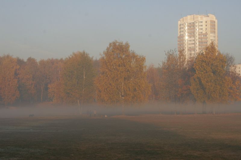 - Туман   - Александр Хоменко, Фотограф - Alexander Khomenko 