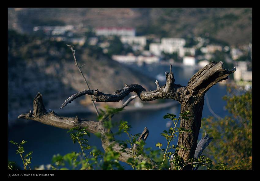  - Крым - 2006   - Александр Хоменко, Фотограф - Alexander Khomenko 