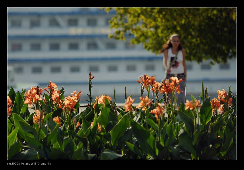  - Крым - 2006   - Александр Хоменко, Фотограф - Alexander Khomenko 